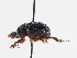  ( - ABOL-25-0479)  @11 [ ] Unspecified (default): All Rights Reserved (2025) Naturhistorisches Museum Wien Unspecified