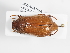  ( - ABOL-25-0639)  @11 [ ] Unspecified (default): All Rights Reserved (2025) Naturhistorisches Museum Wien Unspecified