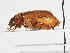  ( - ABOL-25-0639)  @11 [ ] Unspecified (default): All Rights Reserved (2025) Naturhistorisches Museum Wien Unspecified