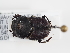  ( - ABOL-25-0656)  @11 [ ] Unspecified (default): All Rights Reserved (2025) Naturhistorisches Museum Wien Unspecified