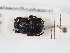  ( - ABOL-24-1834)  @11 [ ] Unspecified (default): All Rights Reserved (2024) Naturhistorisches Museum Wien Naturhistorisches Museum Wien