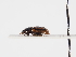  ( - ABOL-24-1783)  @11 [ ] Unspecified (default): All Rights Reserved (2024) Naturhistorisches Museum Wien Naturhistorisches Museum Wien