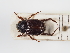  ( - ABOL-24-1821)  @11 [ ] Unspecified (default): All Rights Reserved (2024) Naturhistorisches Museum Wien Naturhistorisches Museum Wien