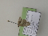  ( - TLMF I.VAR. 00130)  @11 [ ] CreativeCommons - Attribution Non-Commercial Share-Alike (2021) Peter Huemer Tiroler Landesmuseum
