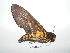  ( - BC-TDMPEG0147)  @12 [ ] Copyright (2010) Unspecified Research Collection of Thibaud Decaens