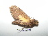  ( - BC-TDMPEG0159)  @12 [ ] Copyright (2010) Unspecified Research Collection of Thibaud Decaens