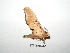 ( - BC-TDMPEG0256)  @12 [ ] Copyright (2010) Unspecified Research Collection of Thibaud Decaens