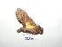  ( - BC-TDMPEG0296)  @12 [ ] Copyright (2010) Unspecified Research Collection of Thibaud Decaens