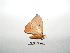  ( - BC-TDMPEG0322)  @12 [ ] Copyright (2010) Unspecified Research Collection of Thibaud Decaens