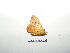  ( - BC-TDMPEG0324)  @12 [ ] Copyright (2010) Unspecified Research Collection of Thibaud Decaens