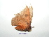  ( - BC-TDMPEG0394)  @12 [ ] Copyright (2010) Unspecified Research Collection of Thibaud Decaens