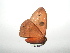  ( - BC-TDMPEG0395)  @12 [ ] Copyright (2010) Unspecified Research Collection of Thibaud Decaens