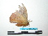  ( - BC-TDMPEG0036)  @12 [ ] Copyright (2010) Unspecified Research Collection of Thibaud Decaens
