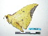  ( - BC-TDMPEG0052)  @12 [ ] Copyright (2010) Unspecified Research Collection of Thibaud Decaens
