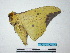  ( - BC-TDMPEG0054)  @12 [ ] Copyright (2010) Unspecified Research Collection of Thibaud Decaens