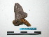  ( - BC-TDMPEG0067)  @13 [ ] Copyright (2010) Unspecified Research Collection of Thibaud Decaens