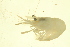  ( - TDWG-0270)  @13 [ ] CreativeCommons - Attribution (2010) CBG Photography Group Centre for Biodiversity Genomics