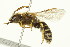  ( - TDWG-0138)  @13 [ ] CreativeCommons - Attribution (2010) CBG Photography Group Centre for Biodiversity Genomics