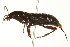  ( - TDWG-0174)  @13 [ ] CreativeCommons - Attribution (2010) CBG Photography Group Centre for Biodiversity Genomics