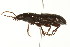  ( - TDWG-0175)  @13 [ ] CreativeCommons - Attribution (2010) CBG Photography Group Centre for Biodiversity Genomics