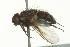  ( - TDWG-0220)  @12 [ ] CreativeCommons - Attribution (2010) CBG Photography Group Centre for Biodiversity Genomics