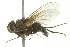  ( - TDWG-0222)  @13 [ ] CreativeCommons - Attribution (2010) CBG Photography Group Centre for Biodiversity Genomics