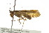  ( - TDWG-0261)  @14 [ ] CreativeCommons - Attribution (2010) CBG Photography Group Centre for Biodiversity Genomics