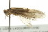  ( - TDWG-0266)  @14 [ ] CreativeCommons - Attribution (2010) CBG Photography Group Centre for Biodiversity Genomics