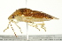  ( - TDWG-0423)  @13 [ ] CreativeCommons - Attribution (2010) CBG Photography Group Centre for Biodiversity Genomics