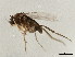  ( - TDWG-0880)  @13 [ ] CreativeCommons - Attribution (2010) CBG Photography Group Centre for Biodiversity Genomics
