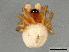 ( - TDWG-0923)  @12 [ ] CreativeCommons - Attribution (2010) CBG Photography Group Centre for Biodiversity Genomics