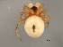  ( - TDWG-1028)  @13 [ ] CreativeCommons - Attribution (2010) CBG Photography Group Centre for Biodiversity Genomics