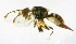  ( - cau01182)  @13 [ ] Unspecified (default): All Rights Reserved (2010) China Agricutural University, Insect Collection China Agricutural University, Insect Collection