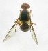  ( - cau01230)  @12 [ ] Unspecified (default): All Rights Reserved (2010) China Agricutural University, Insect Collection China Agricutural University, Insect Collection