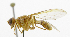  ( - cau01331)  @11 [ ] Unspecified (default): All Rights Reserved (2010) China Agricutural University, Insect Collection China Agricutural University, Insect Collection