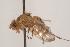  ( - TEPH052)  @12 [ ] Unspecified (default): All Rights Reserved  Unspecified Unspecified