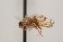  ( - TEPH073)  @12 [ ] Unspecified (default): All Rights Reserved  Unspecified Unspecified