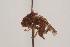  ( - TEPH106)  @12 [ ] Unspecified (default): All Rights Reserved  Unspecified Unspecified