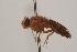 (Eutreta novaeboracensis - TEPH114)  @12 [ ] Unspecified (default): All Rights Reserved  Unspecified Unspecified