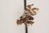  ( - TEPH137)  @13 [ ] Unspecified (default): All Rights Reserved  Unspecified Unspecified