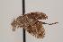  ( - TEPH158)  @12 [ ] Unspecified (default): All Rights Reserved  Unspecified Unspecified
