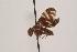  ( - TEPH178)  @12 [ ] Unspecified (default): All Rights Reserved  Unspecified Unspecified