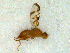 ( - DNA 20080819-01)  @14 [ ] Copyright (2010) Unspecified NCB Naturalis