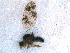  ( - DNA 20081031-02)  @12 [ ] Copyright (2010) Unspecified NCB Naturalis