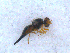  ( - DNA 20090522-03)  @14 [ ] Copyright (2010) Unspecified NCB Naturalis