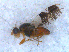  ( - DNA 20090522-09N)  @12 [ ] Copyright (2010) Unspecified NCB Naturalis