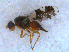  ( - DNA 20090522-22)  @12 [ ] Copyright (2010) Unspecified NCB Naturalis