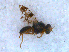  ( - DNA 20090522-32)  @12 [ ] Copyright (2010) Unspecified NCB Naturalis