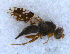  ( - DNA 20090522-56)  @13 [ ] Copyright (2010) Unspecified NCB Naturalis