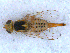  ( - DNA 20090522-58)  @15 [ ] Copyright (2010) Unspecified NCB Naturalis